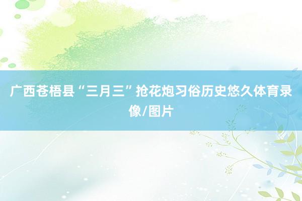 广西苍梧县“三月三”抢花炮习俗历史悠久体育录像/图片