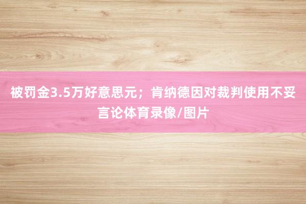 被罚金3.5万好意思元；肯纳德因对裁判使用不妥言论体育录像/图片