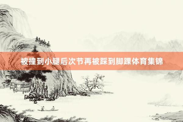 被撞到小腿后次节再被踩到脚踝体育集锦